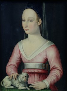 Retrato de Agnes Sorel